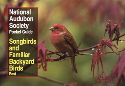 National Audubon Society Pocket Guide to Songbirds and Familiar Backyard Birds: Eastern Region: East (National Audubon Society Pocket Guides) - Click to Buy