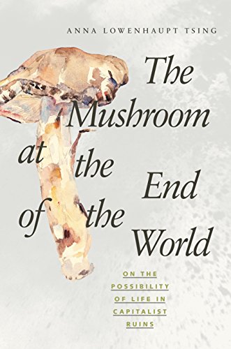 The Mushroom at the End of the World: On the Possibility of Life in Capitalist Ruins - Click to Buy
