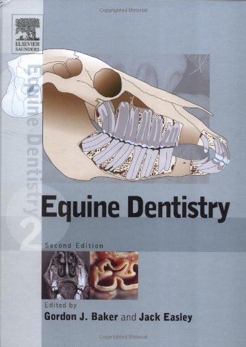 Equine Dentistry - Click to Buy