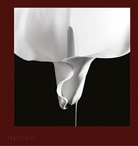 Mapplethorpe Flora: The Complete Flowers - Click to Buy