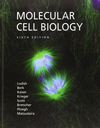 Molecular Cell Biology - Click to Buy