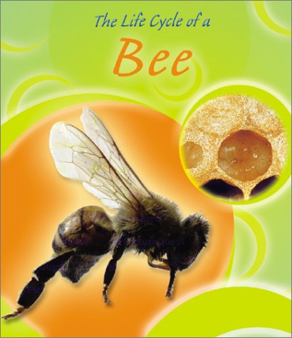The Life Cycle of a Bee (Life Cycles) - Click to Buy