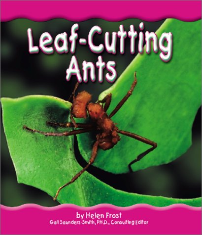 Leaf-Cutting Ants - Click to Buy