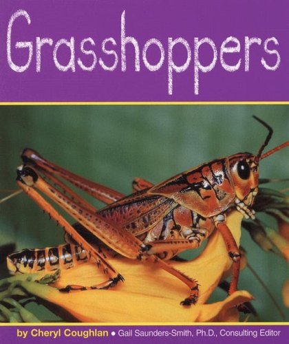 Grasshoppers - Click to Buy