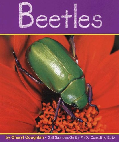 Beetles (Insects) - Click to Buy