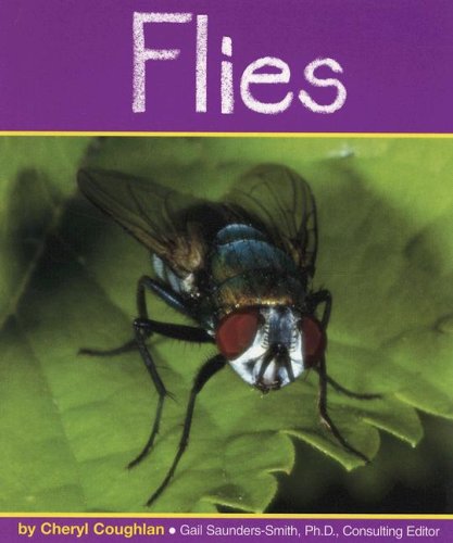 Flies - Click to Buy