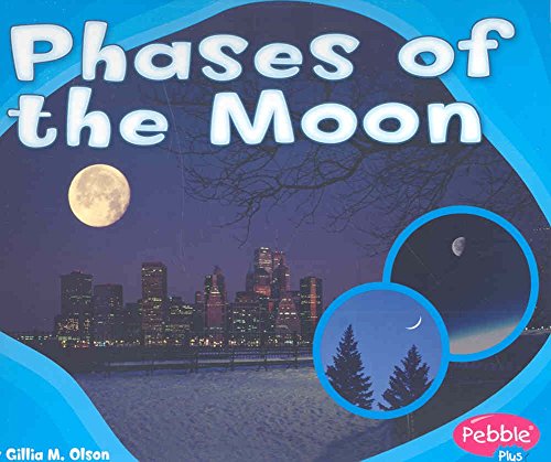 Phases of the Moon (Patterns in Nature) - Click to Buy