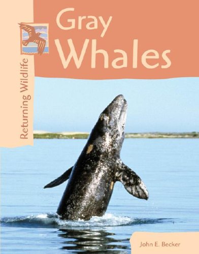 Gray Whales (Returning Wildlife) - Click to Buy
