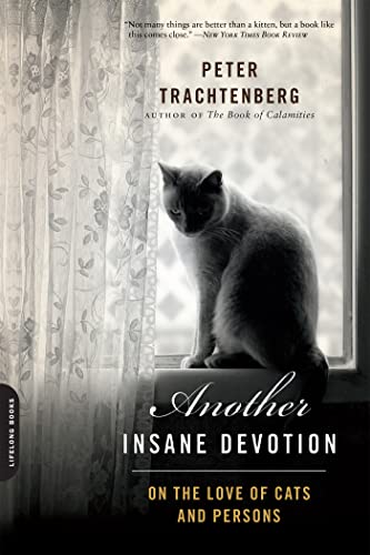 Another Insane Devotion - Click to Buy