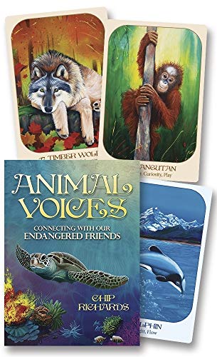 Animal Voices Oracle: Connecting with Our Endangered Friends - Click to Buy