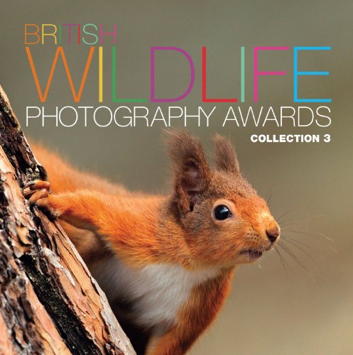 British Wildlife Photography Awards: Collection 3 - Click to Buy