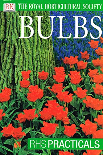 Bulbs - Click to Buy