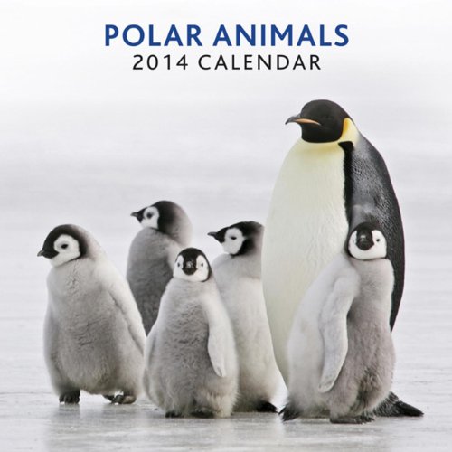 2014 Calendar: Polar Animals: 12-Month Calendar Featuring Beautiful Photographs of Spectacular Animals From the Arctic Circle - Click to Buy