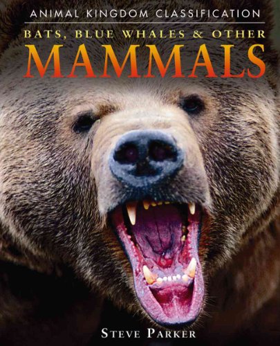 Bats, Blue Whales & Other Mammals (Animal Kingdom Classification) - Click to Buy