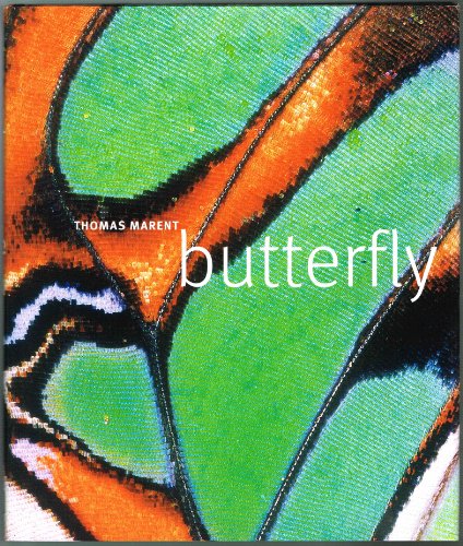 Butterfly - Click to Buy