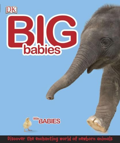 Big Babies, Little Babies: Discover the Enchanting World of Newborn Animals - Click to Buy