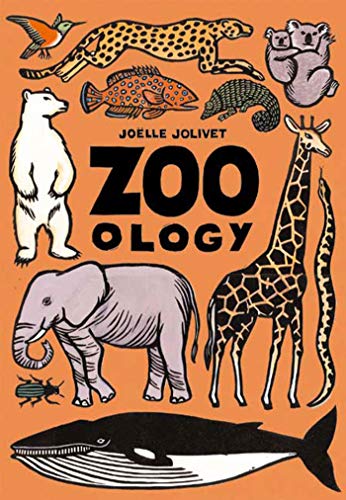 Zoo - ology - Click to Buy