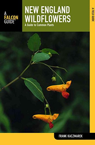 New England Wildflowers: A Guide To Common Plants - Click to Buy