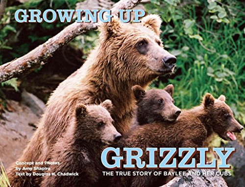 Growing Up Grizzly: The True Story Of Baylee And Her Cubs - Click to Buy