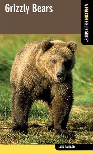 Grizzly Bears - Click to Buy