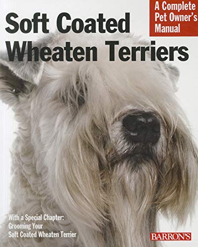 Soft Coated Wheaten Terriers - Click to Buy