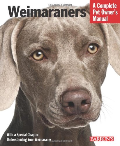 Weimaraners - Click to Buy