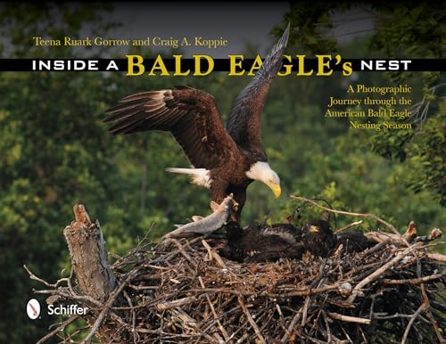Inside a Bald Eagle's Nest: A Photographic Journey Through the American Bald Eagle Nesting Season - Click to Buy