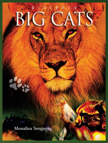 Discover Big Cats - Click to Buy
