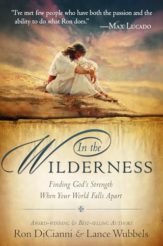 In The Wilderness: Finding God's Strength When Your World Falls Apart