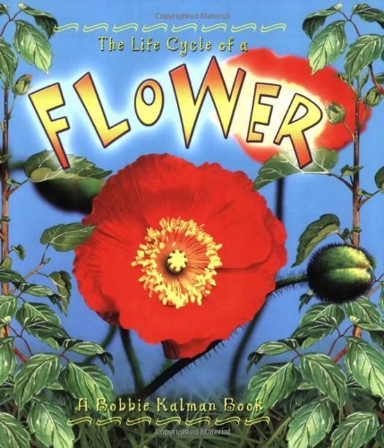 The Life Cycle of a Flower - Click to Buy