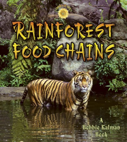 Rainforest Food Chains - Click to Buy