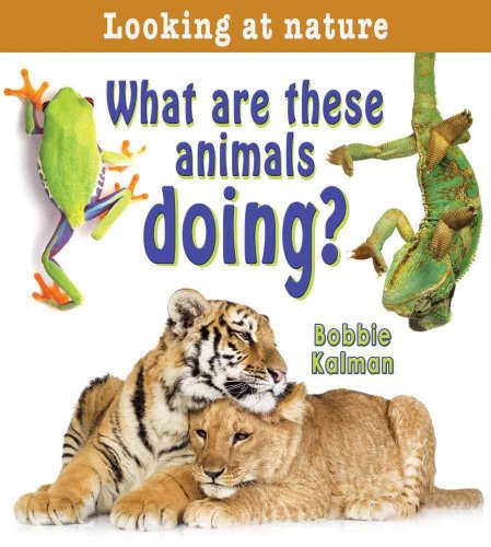 What Are These Animals Doing? (Looking at Nature) - Click to Buy