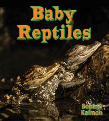 Baby Reptiles (It's Fun to Learn About Baby Animals, 7) - Click to Buy