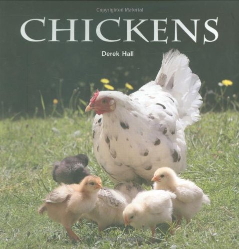 Chickens (Flexi cover series)