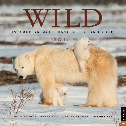 Wild 2014 Wall Calendar: Untamed Animals, Untouched Landscapes - Click to Buy