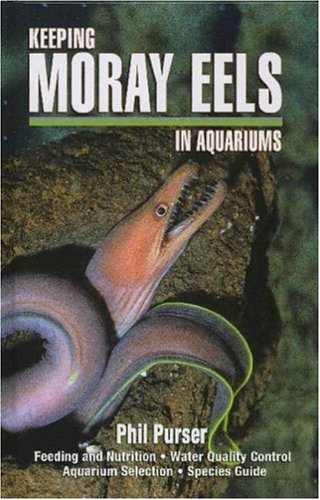 Keeping Moray Eels In Aquariums - Click to Buy
