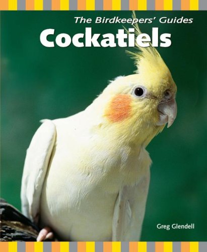 Cockatiels - Click to Buy