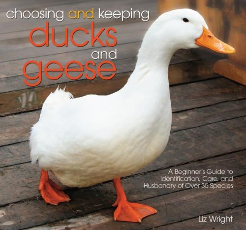 Choosing and Keeping Ducks and Geese: A Beginner's Guide to Identification, Care, and Husbandry of over 35 Species - Click to Buy