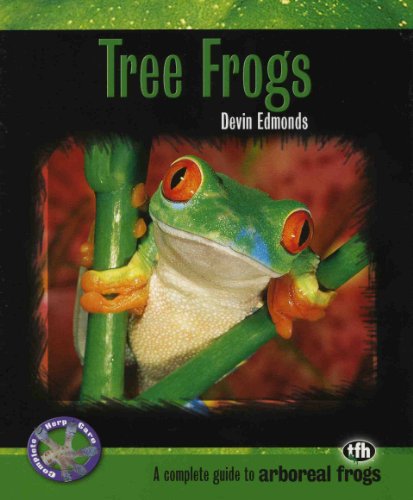 Tree Frogs - Click to Buy