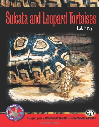 Sulcata and Leopard Tortoises - Click to Buy