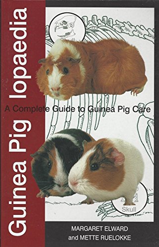 Proper Care of Guinea Pigs - Click to Buy