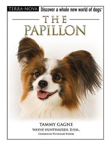 The Papillon - Click to Buy