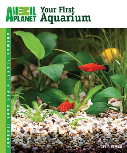 Your First Aquarium - Click to Buy