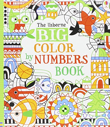 Big Color by Numbers Book