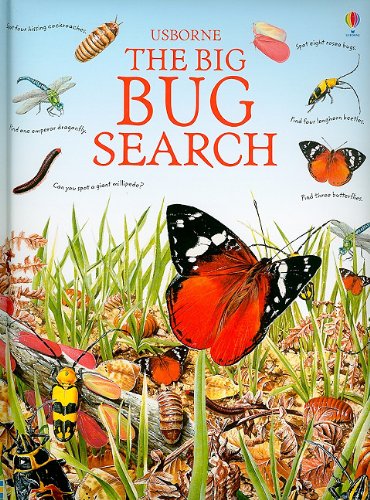 The Big Bug Search (Great Searches) - Click to Buy