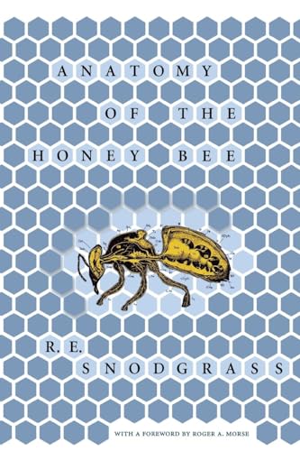 Anatomy of the Honey Bee - Click to Buy