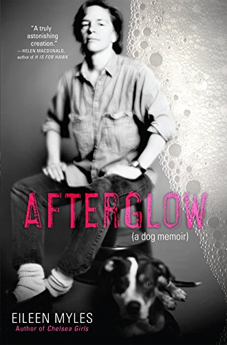 Afterglow (a dog memoir) - Click to Buy