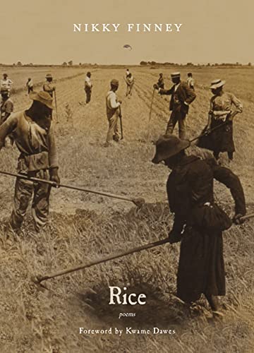 Rice - Click to Buy