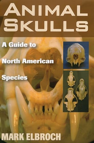 Animal Skulls: A Guide to North American Species - Click to Buy