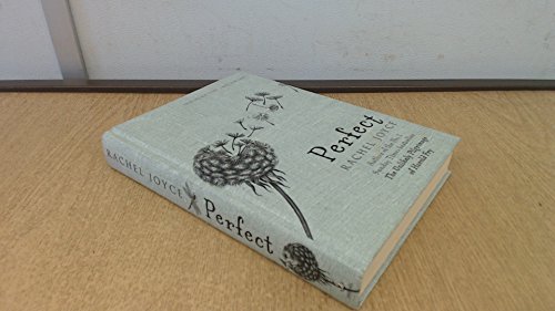 Perfect: A Novel - Click to Buy